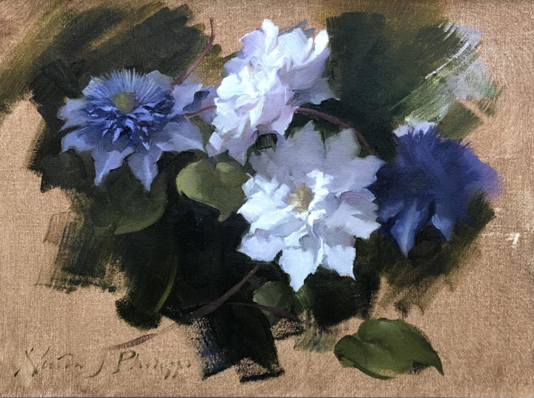 Nicky Philipps - Clematis