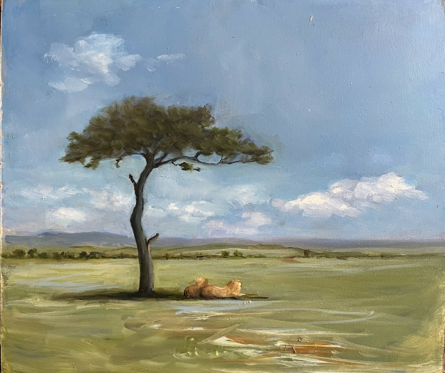 Susie Philipps - Resting Lion's, Serengeti