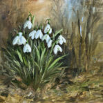 Susie Philipps - Snowdrops I