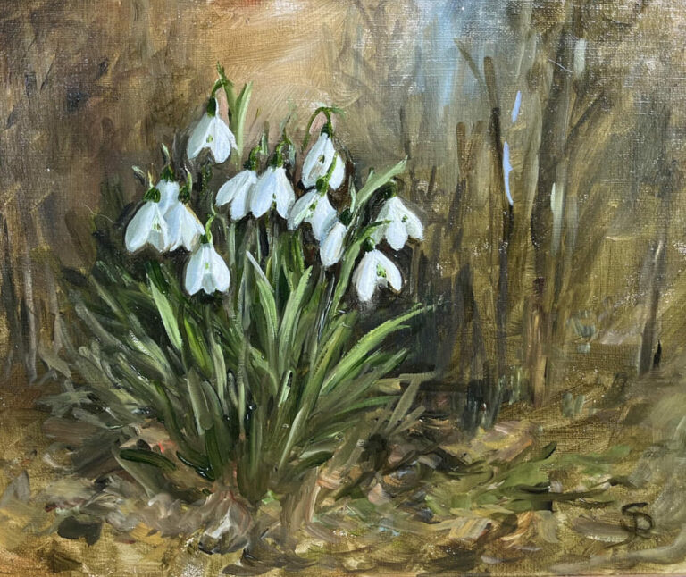 Susie Philipps - Snowdrops I