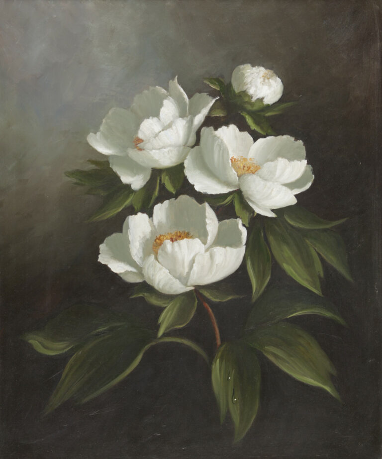 Susie Philipps - White Peonies