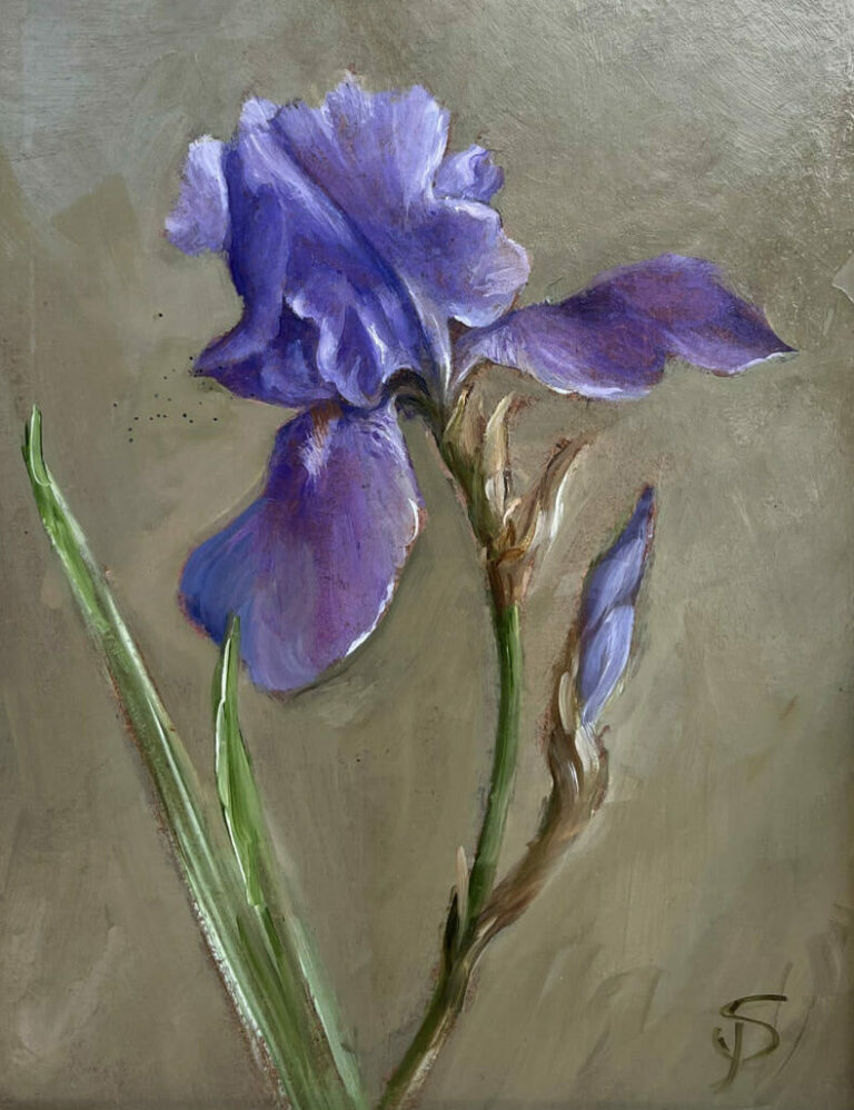 Susie Philipps - Iris