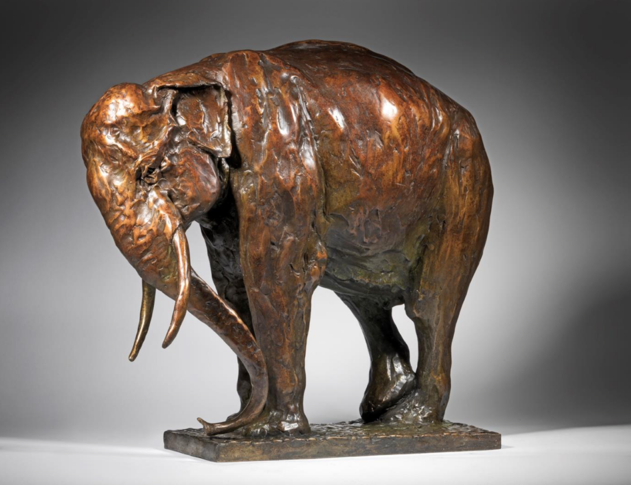 Large Asian Elephant at rest - Mark Coreth Large Asian Elephant at rest - Mark Coreth