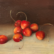 Susie Philipps - Cherries