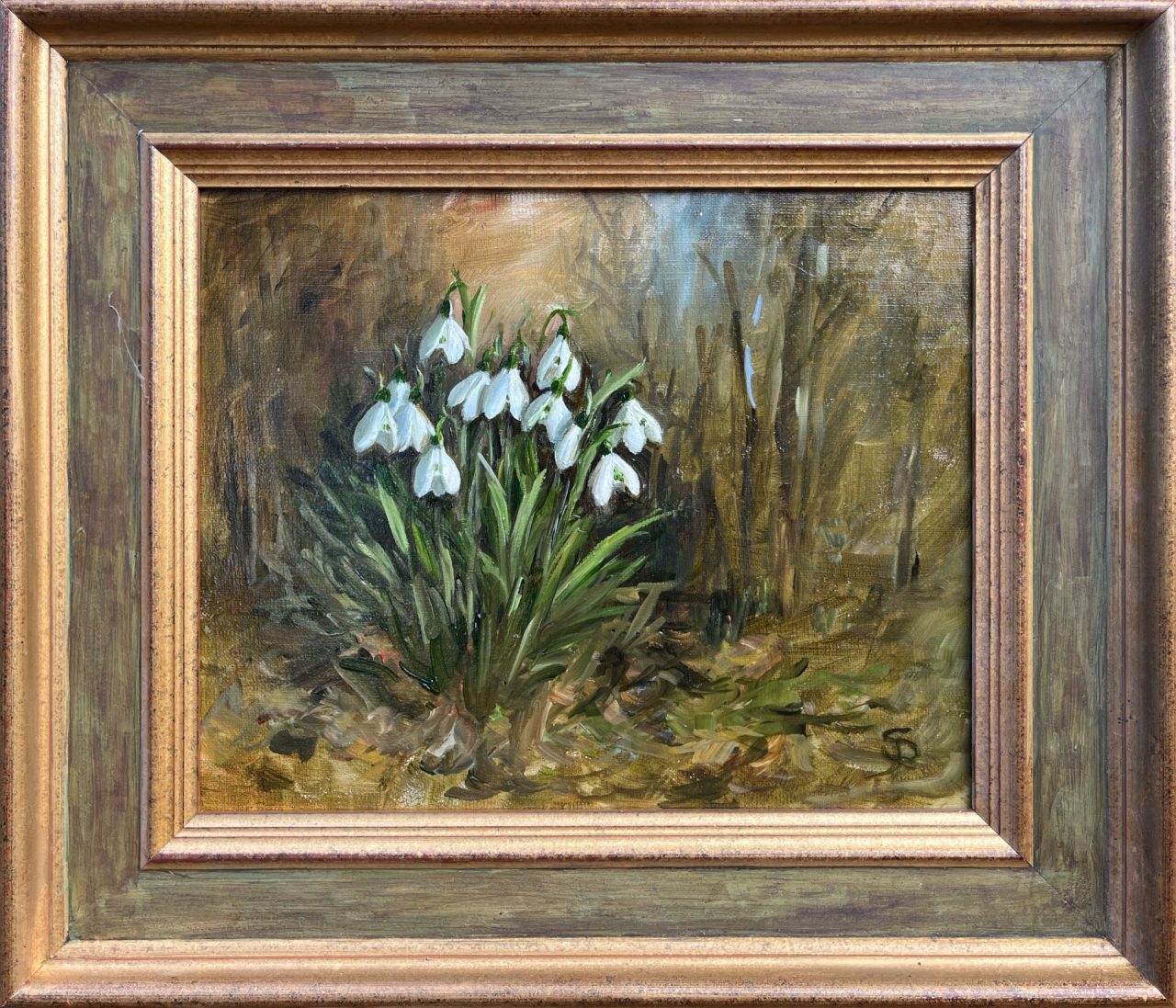 11c, Snowdrops I, 10 x 11